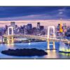 55" ROKU QLED TV